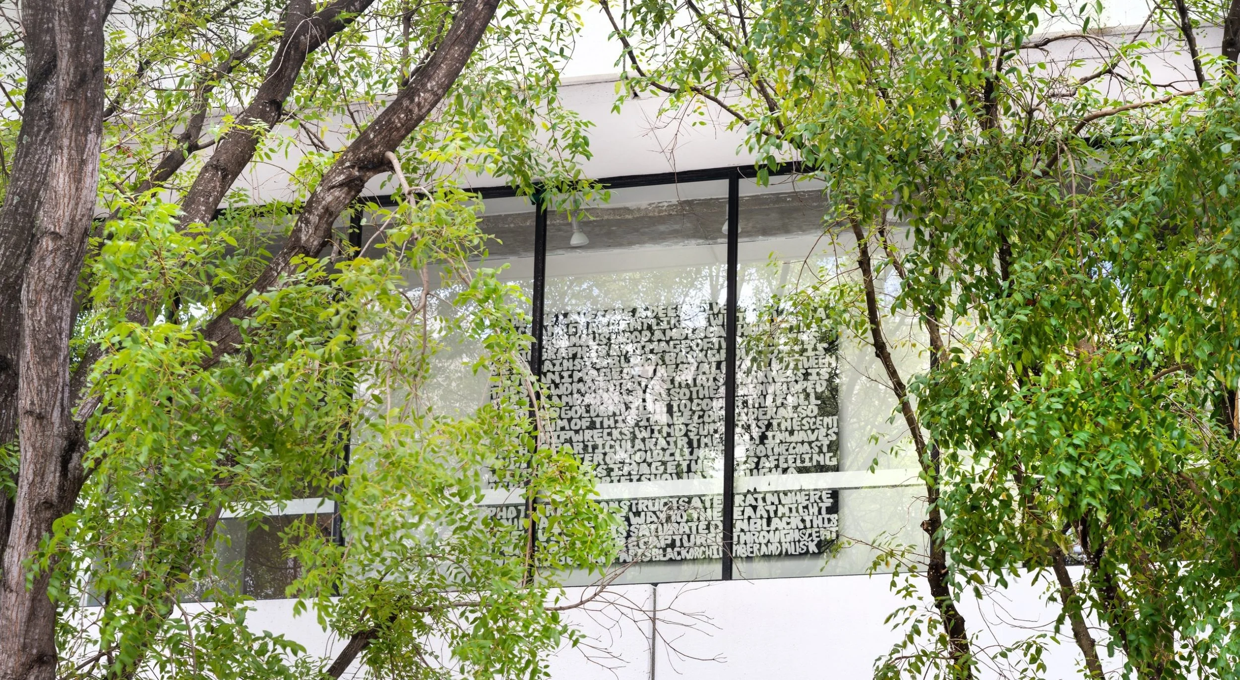 Image by davidcastillogallery.com